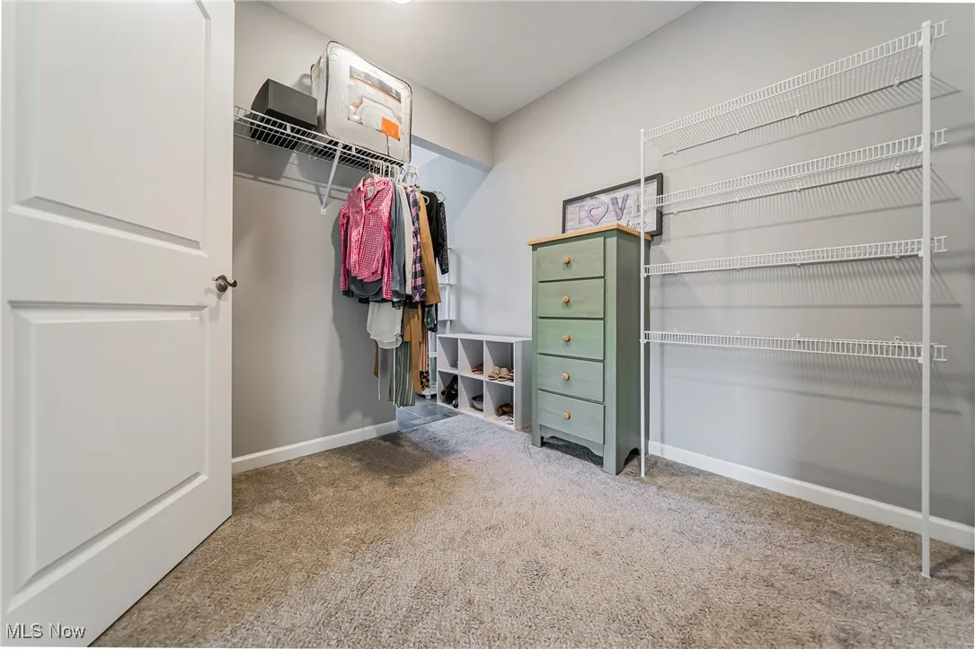 Spacious closet with carpet flooring