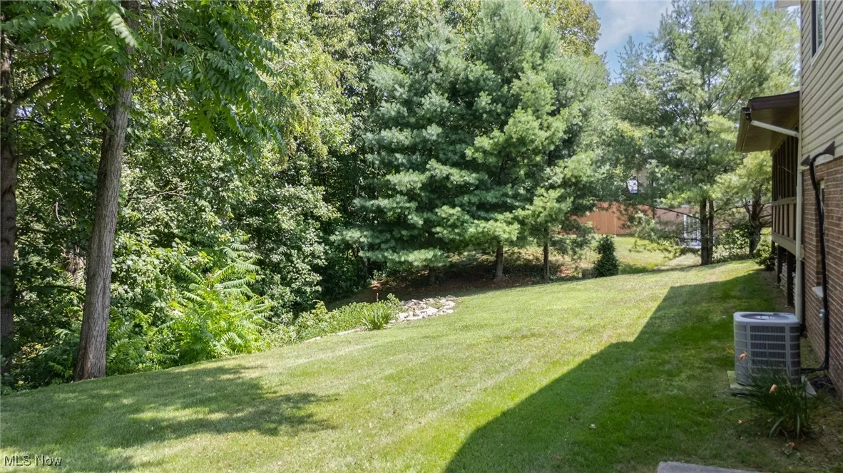 View of grassy yard
