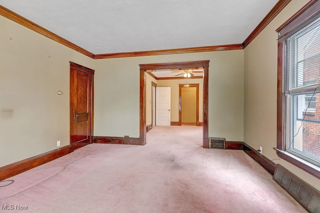 Carpeted empty room with crown molding and a textured ceiling