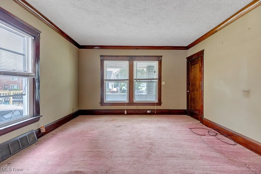 Unfurnished room with plenty of natural light, light colored carpet, crown molding, and a textured ceiling