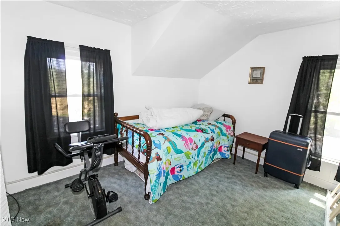 Bedroom with lofted ceiling, carpet floors, and a baseboard heating unit