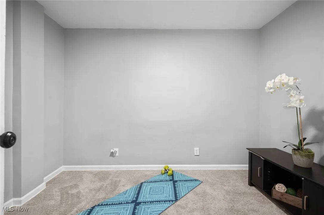 1298 Beech Street, Willoughby, Ohio 44094,MLS Now Listing ID