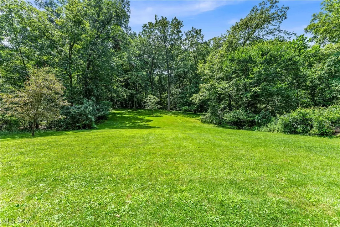View of grassy yard