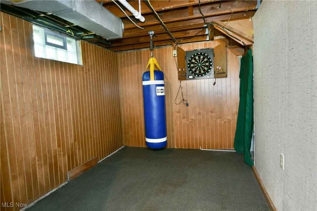 Basement featuring wooden walls and carpet floors