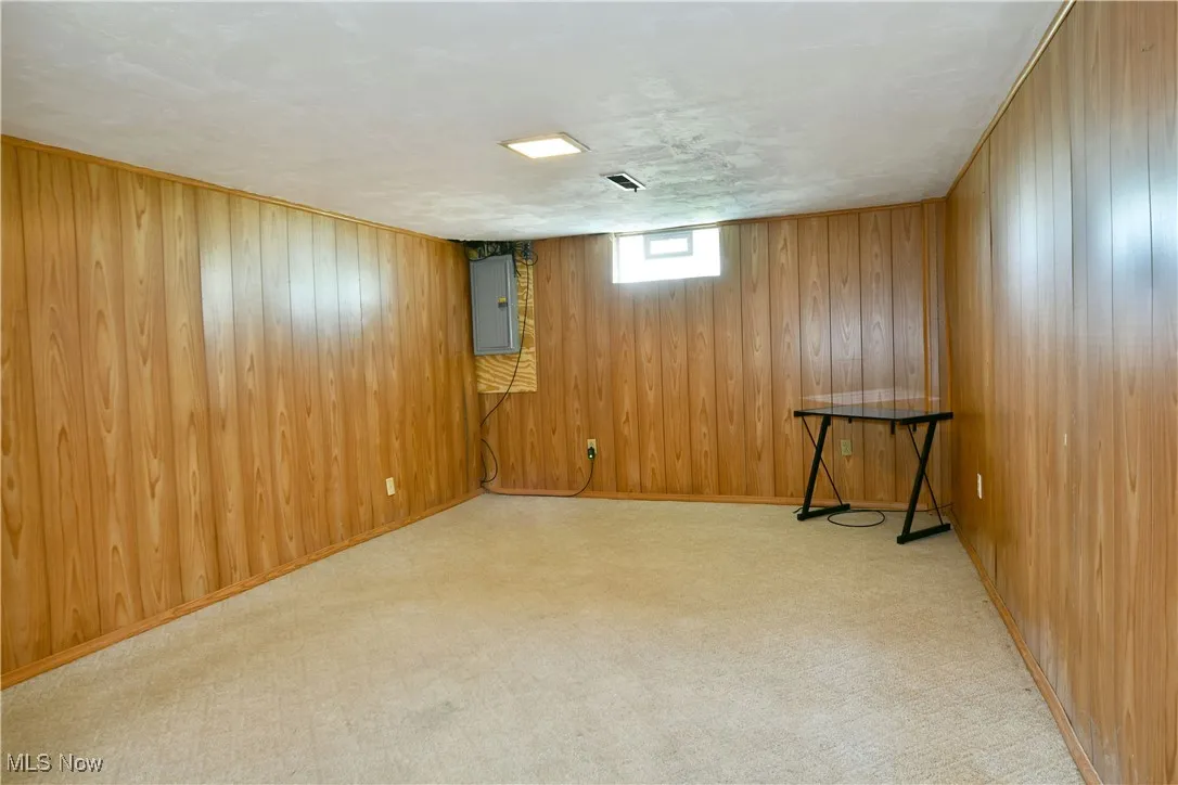 Below grade area featuring electric panel, wood walls, and carpet