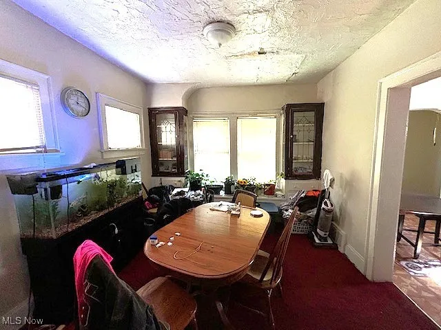 Carpeted dining room featuring a textured ceiling and plenty of natural light