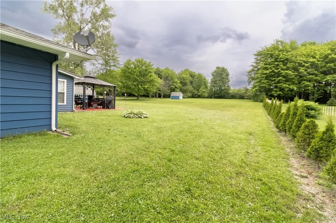 View of the side backyard