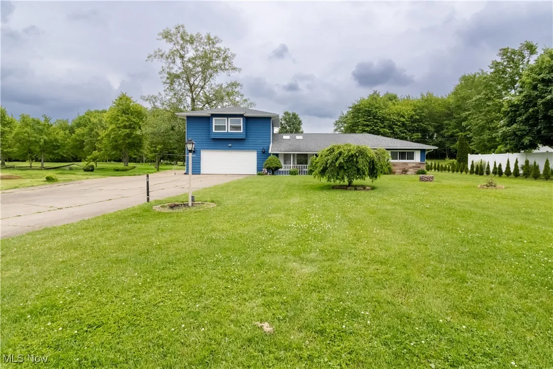 Front lawn and driveway