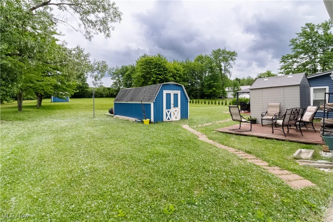 View of the back yard