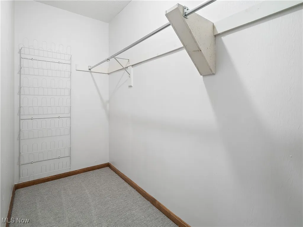 Primary Walk in closet