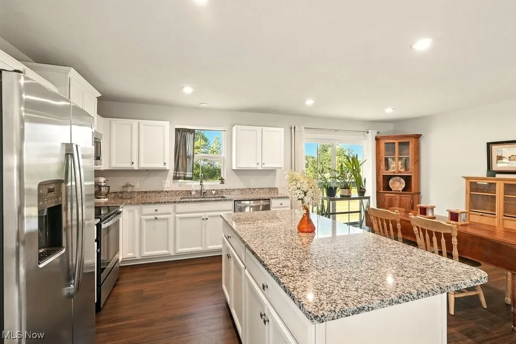 Kitchen with appliances with stainless steel finishes, dark wood-style flooring, recessed lighting, white cabinetry, and light stone counters