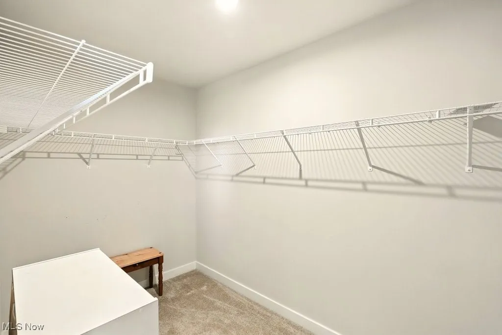 Spacious closet with light colored carpet