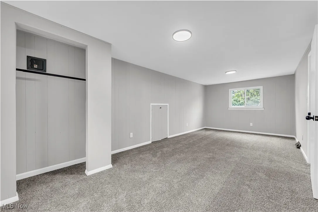 Below grade area featuring carpet and wooden walls