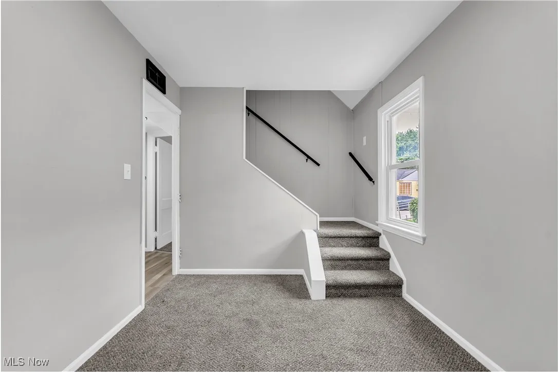 Stairs featuring carpet and baseboards