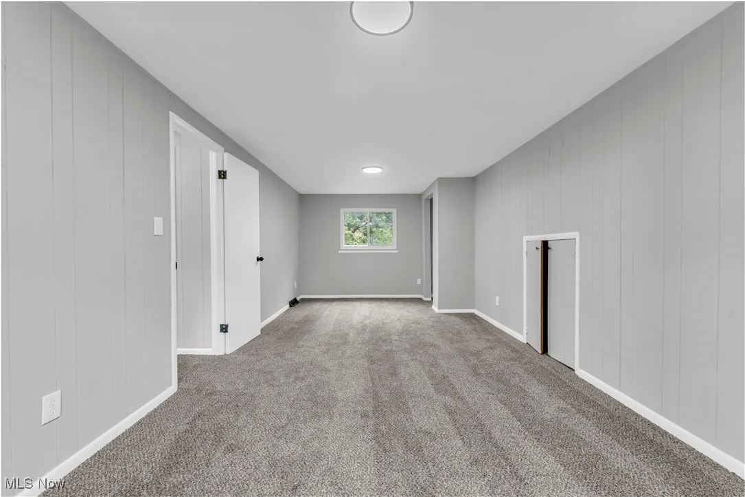 Basement featuring carpet floors and wood walls