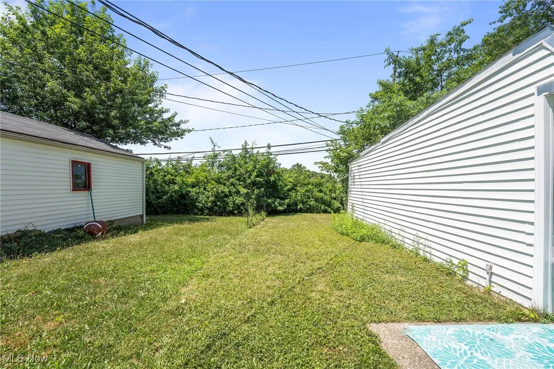 View of grassy yard