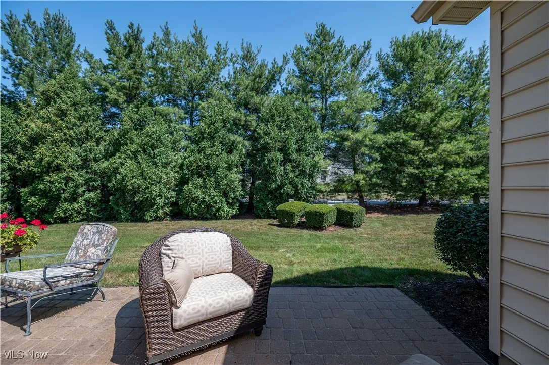 View of patio and green space beyond.