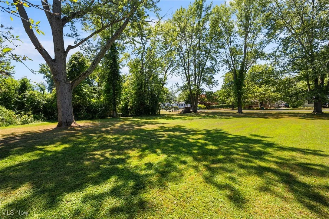 View of green lawn