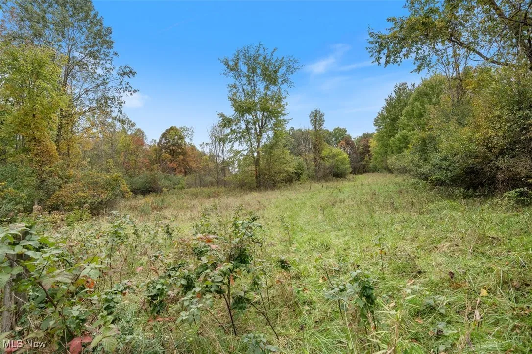 450 W Twinsburg Road, Northfield, Ohio,MLS Now Listing ID