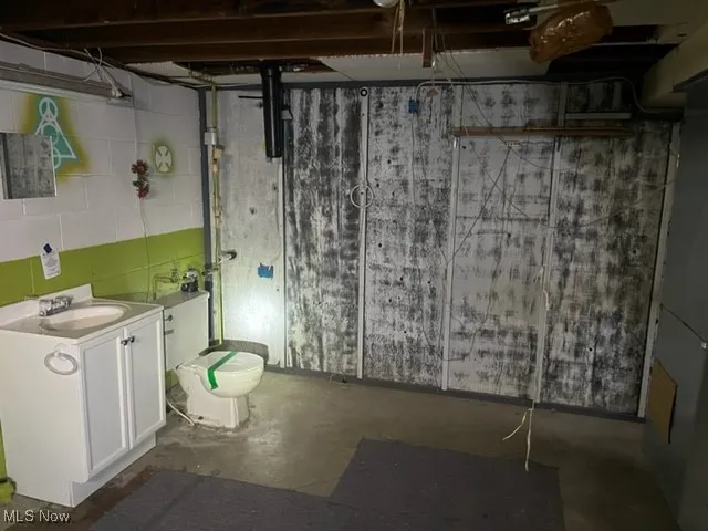 Unfinished below grade area featuring a sink