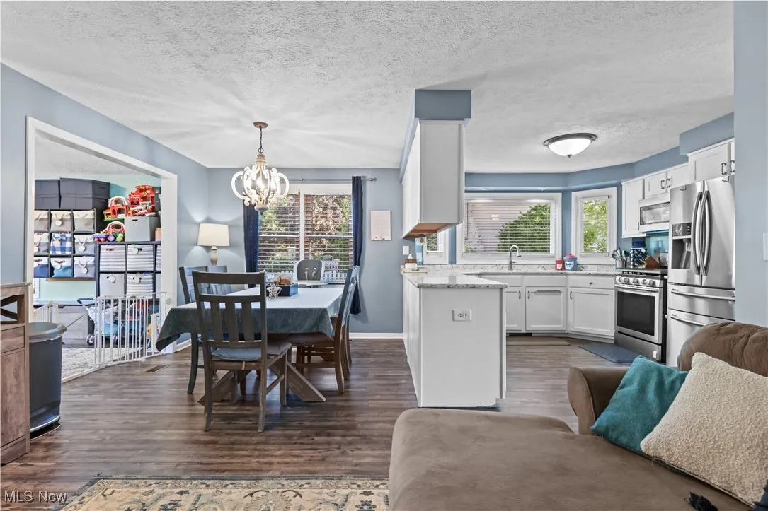 Kitchen with open floor plan, dark wood-style flooring, stainless steel appliances, a chandelier, and white cabinets