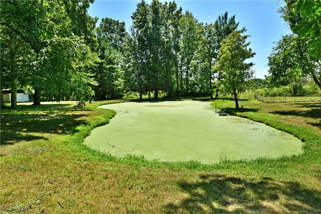 View of home's community with a lawn and view of wooded area