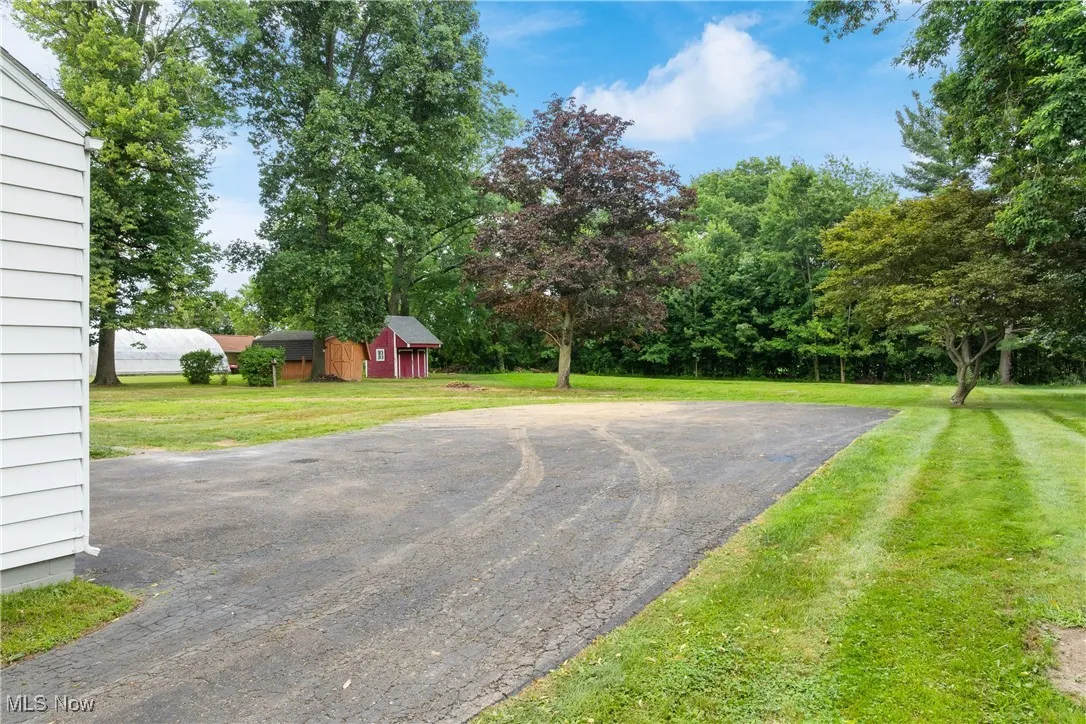 View of green lawn featuring driveway and a shed