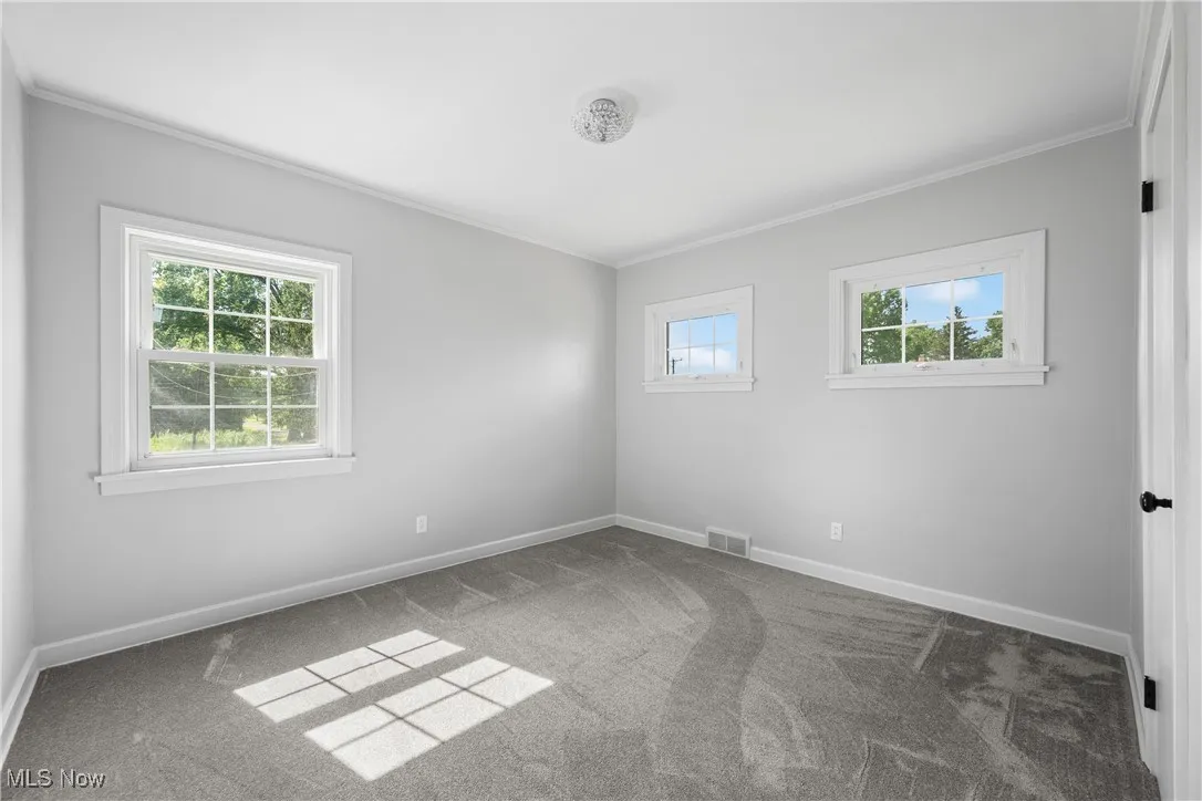 Carpeted empty room featuring crown molding and baseboards