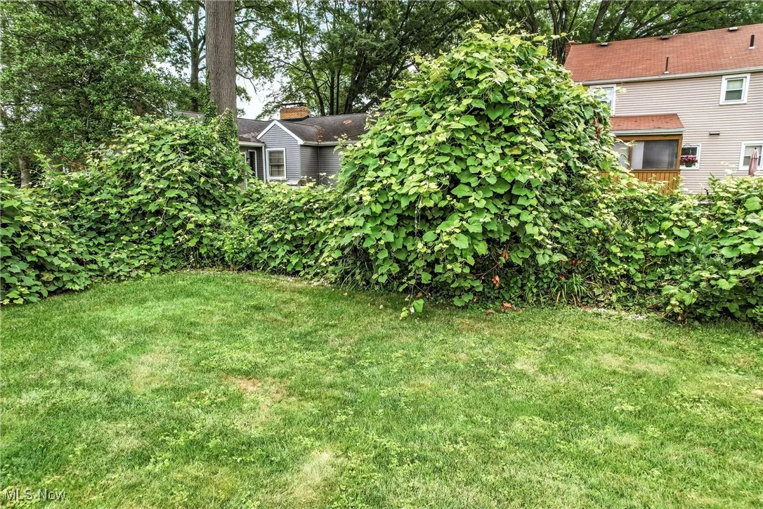 604 Adelaide Avenue, Warren, Ohio,MLS Now Listing ID