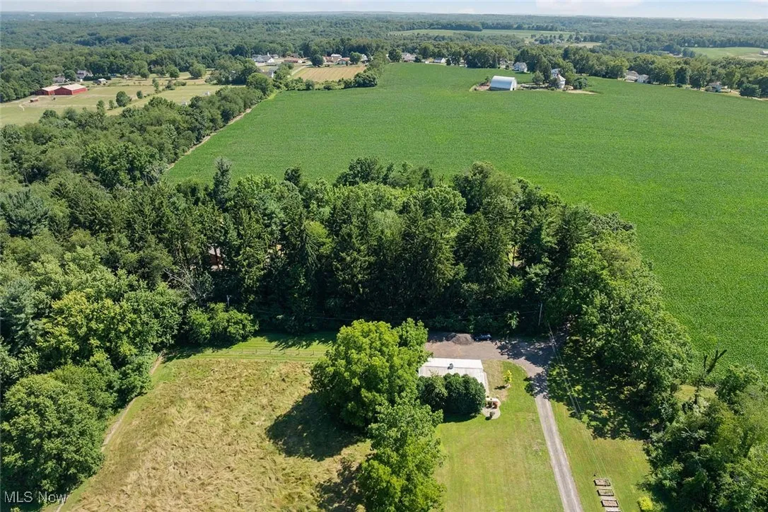 Overview of rural landscape featuring a forest