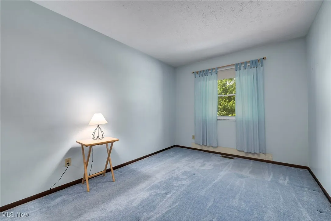 Unfurnished room featuring carpet flooring and a textured ceiling