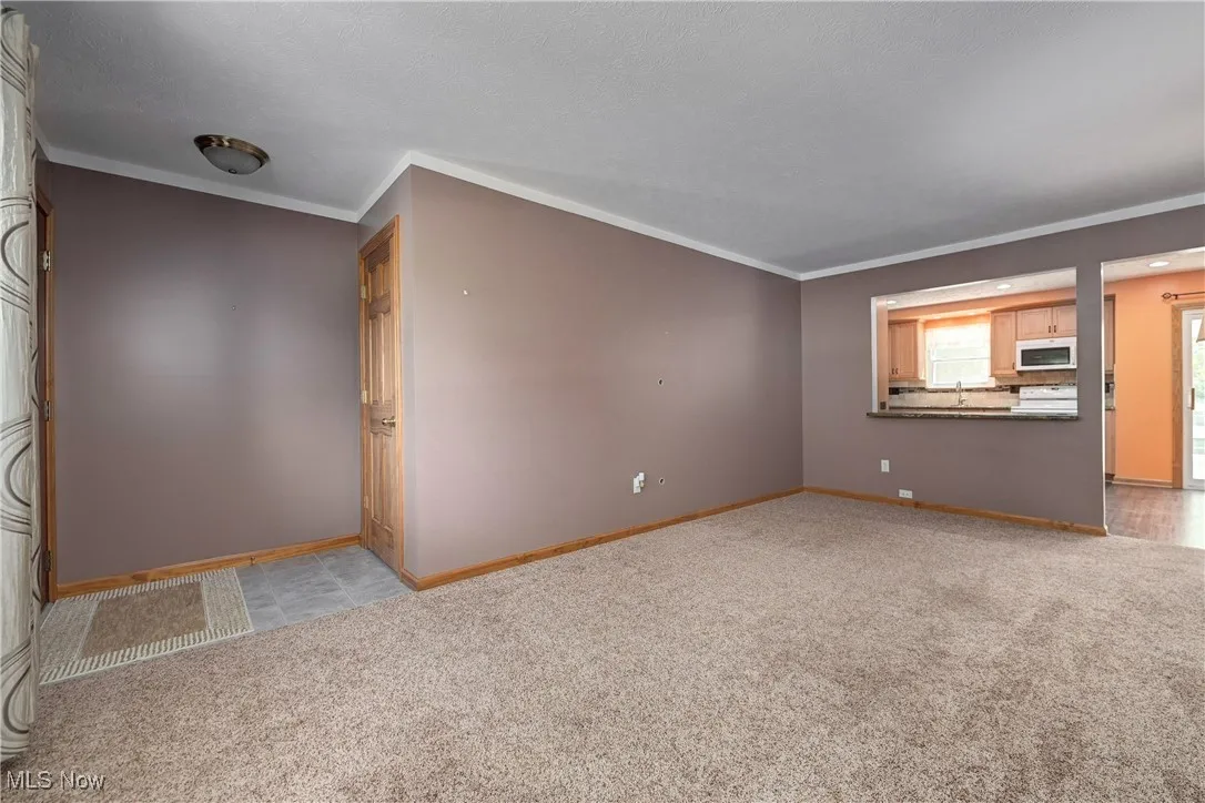 Spare room featuring light carpet and crown molding