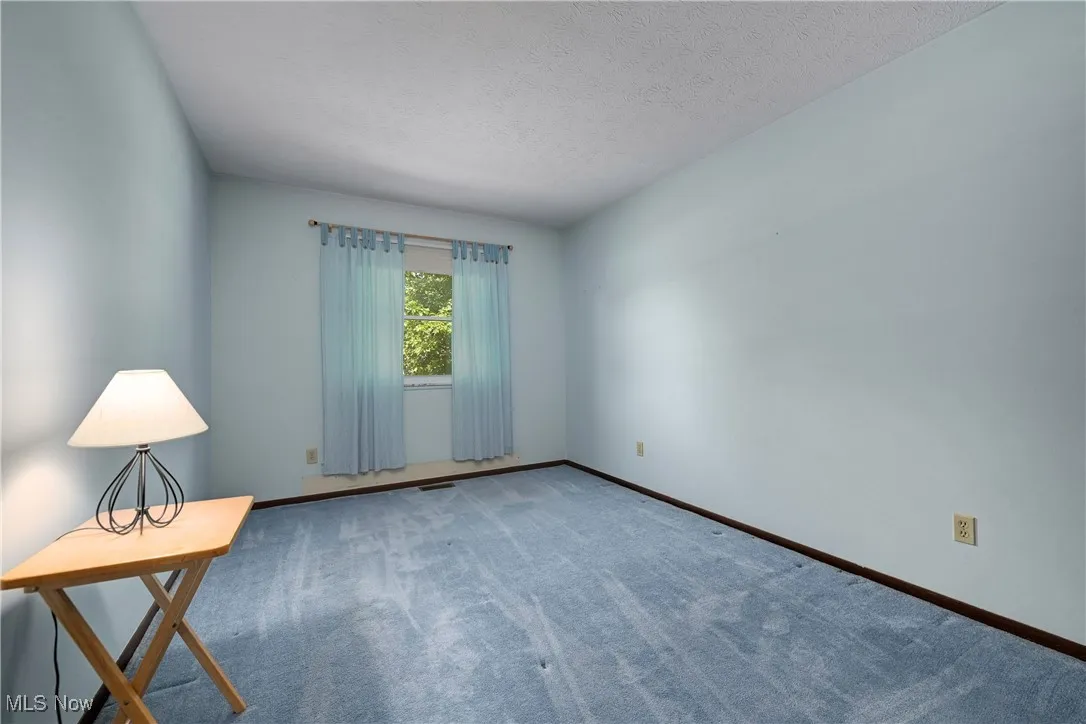 Unfurnished room featuring carpet flooring and a textured ceiling