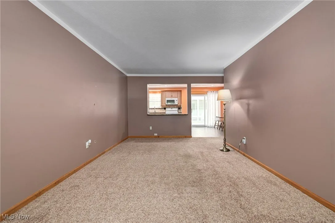 Empty room featuring ornamental molding and carpet flooring