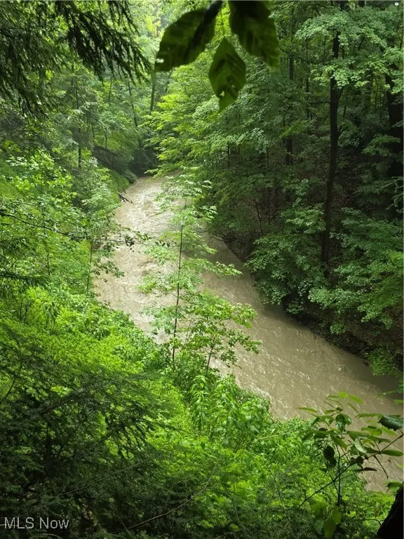 View of woods featuring a water view