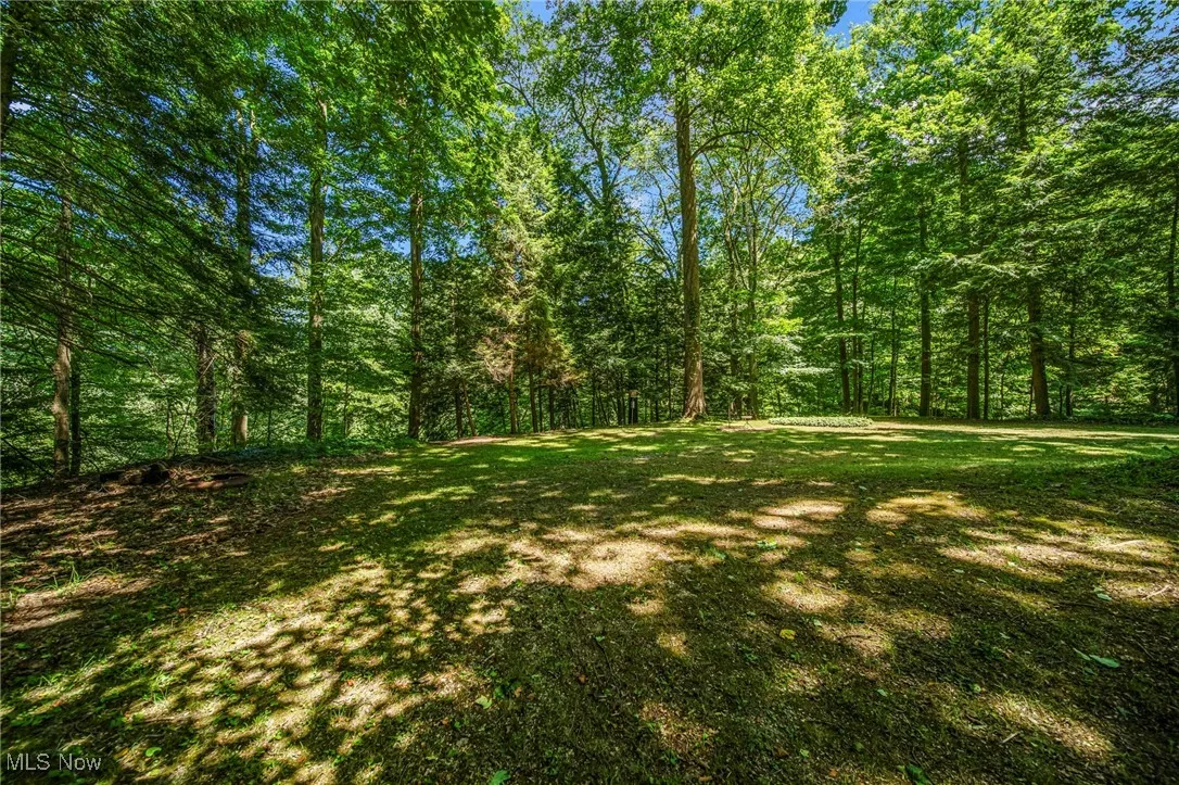 View of yard featuring a wooded view
