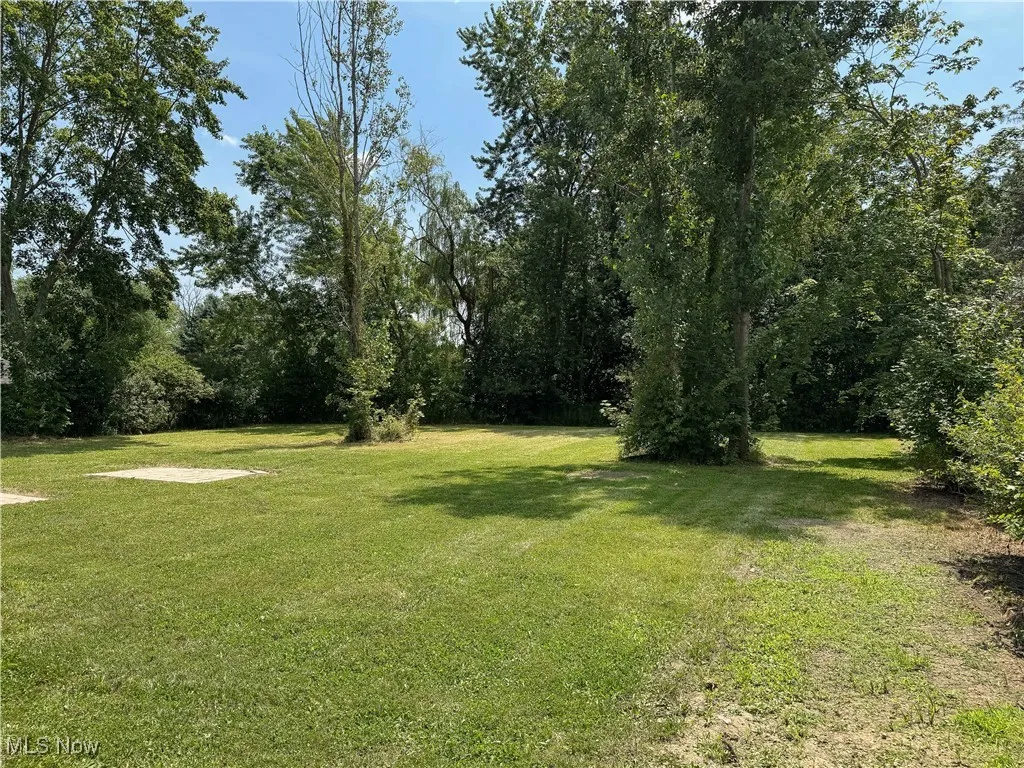 view of the back yard