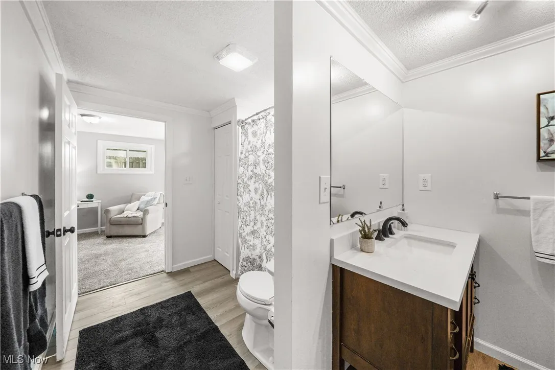 master bathroom.  newer flooring, shower, vanity and toilet.