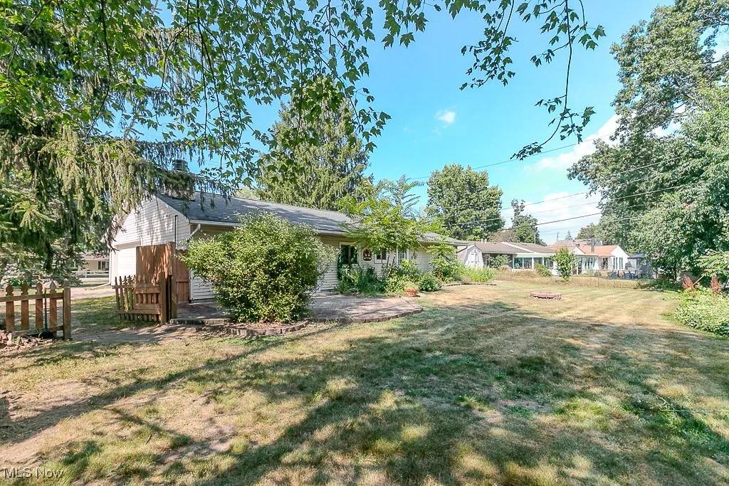 Back yard