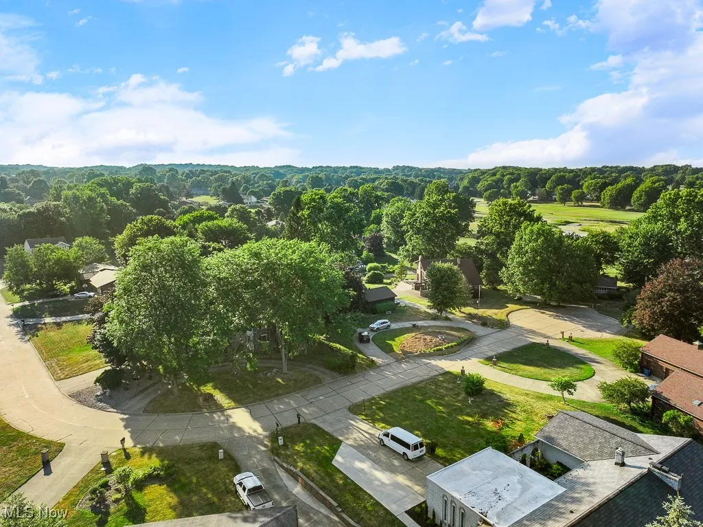 Drone view