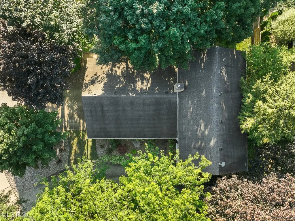 Drone view