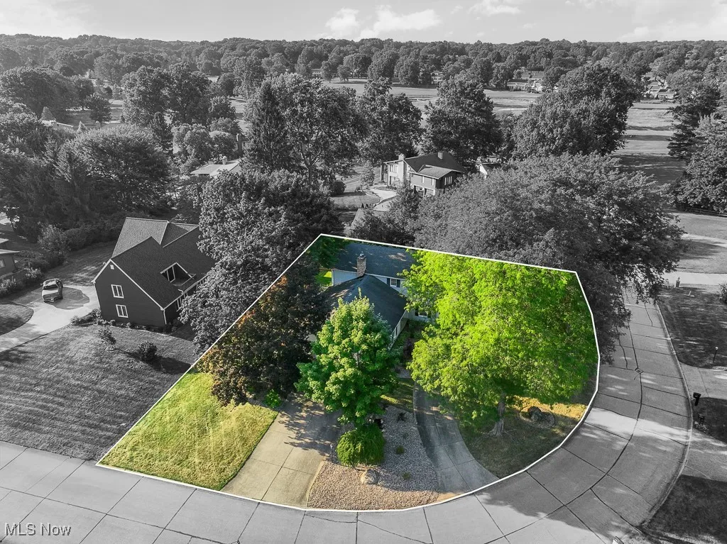 Drone view