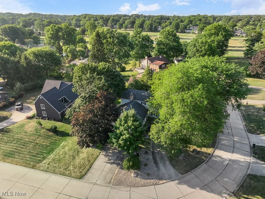 Drone view