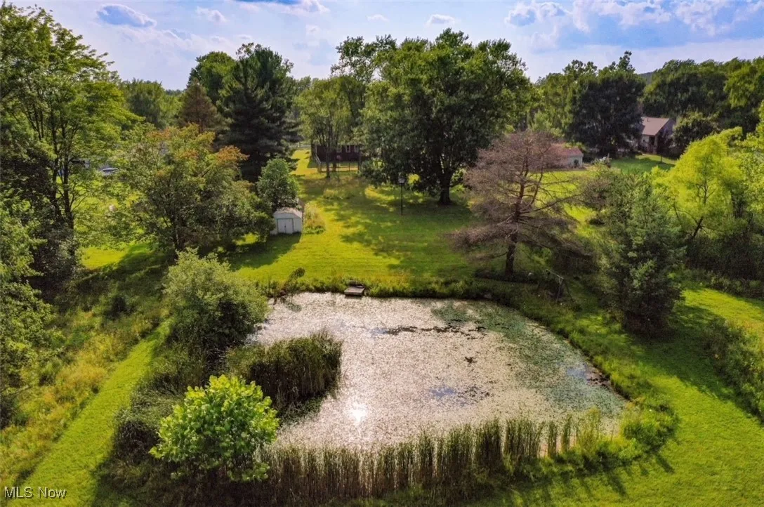 Pond