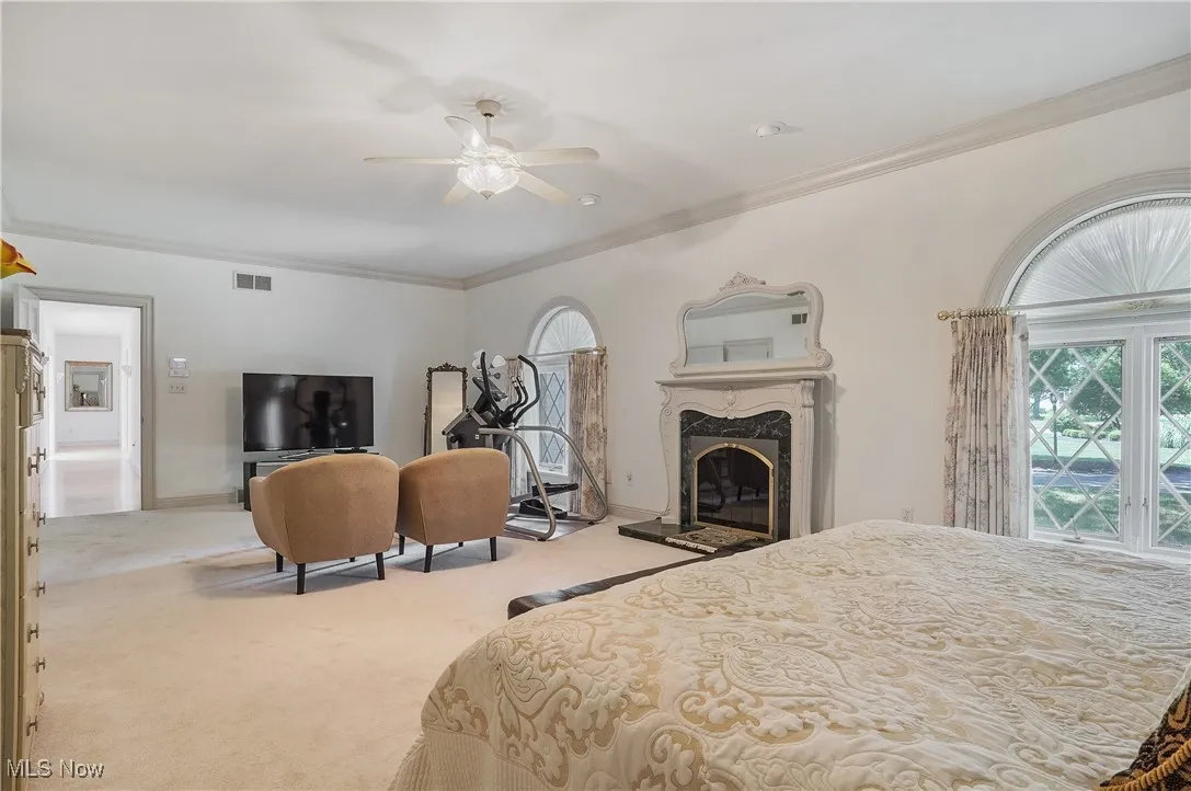 Carpeted bedroom featuring ornamental molding, multiple windows, a premium fireplace, a ceiling fan, and access to exterior
