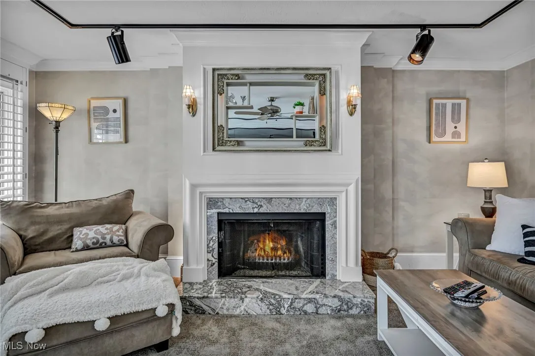 Living area with crown molding, carpet floors, and a fireplace