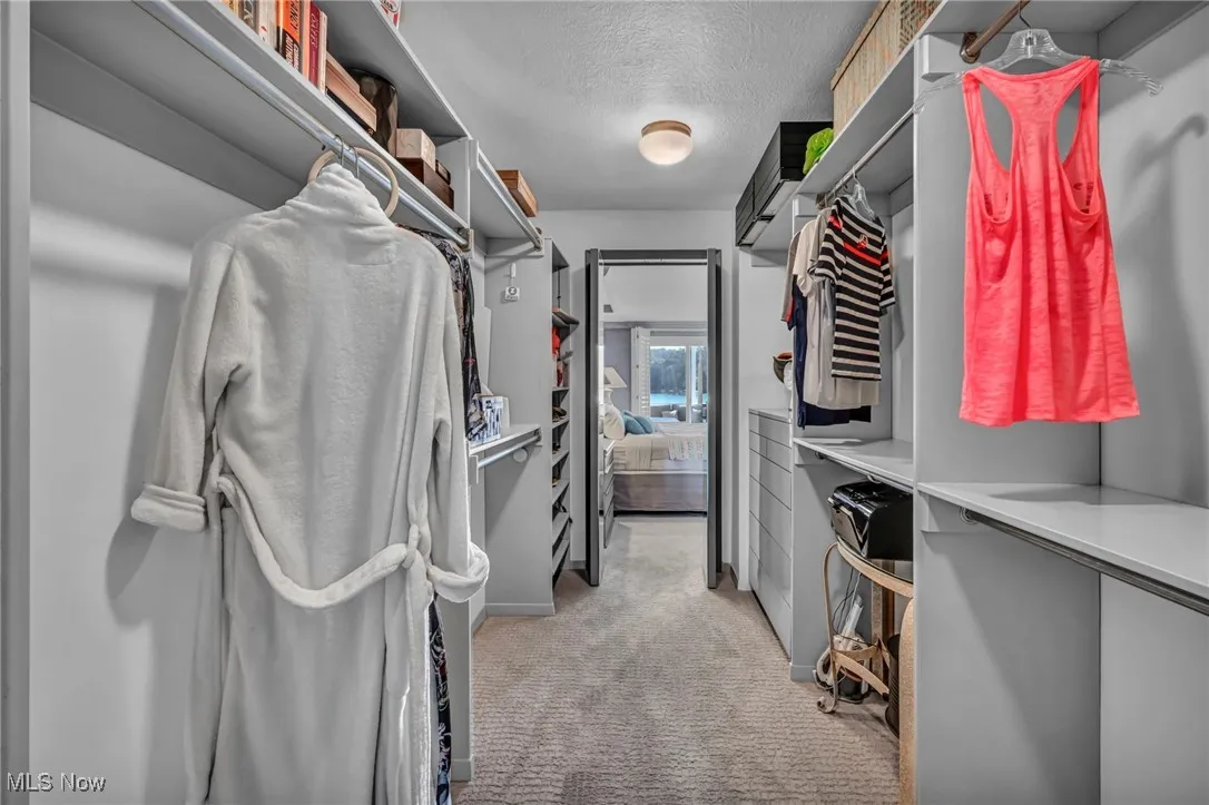 Spacious closet featuring light carpet