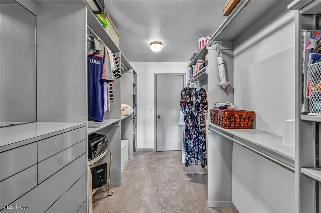 Walk in closet with light colored carpet