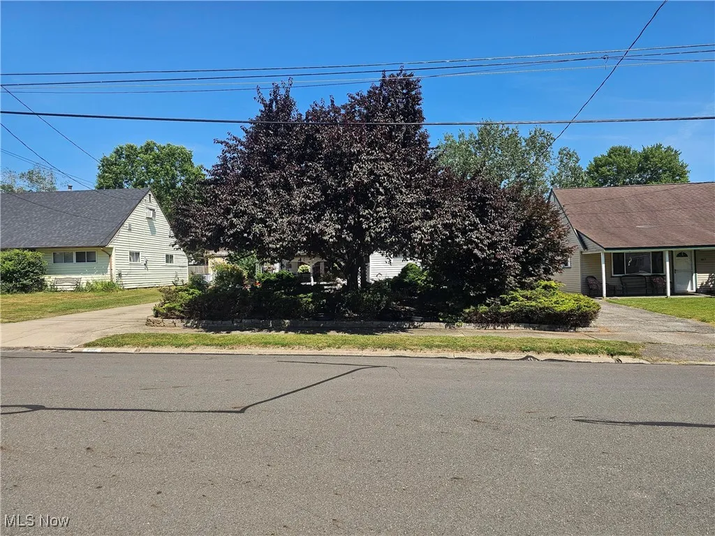 201 S Cleveland Avenue, Niles, Ohio,MLS Now Listing ID