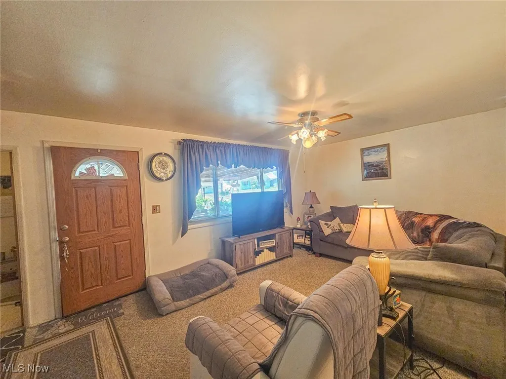 201 S Cleveland Avenue, Niles, Ohio,MLS Now Listing ID